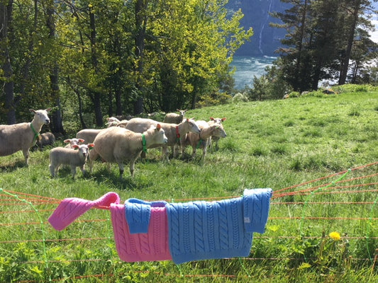 Siriknit kolleksjonen er inspirert av den fargerike naturen på vestlandet!